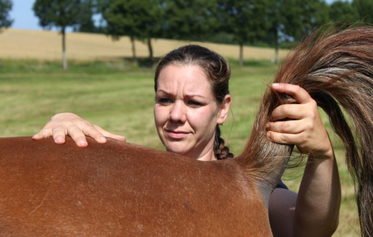 Osteopathische Behandlung hinten