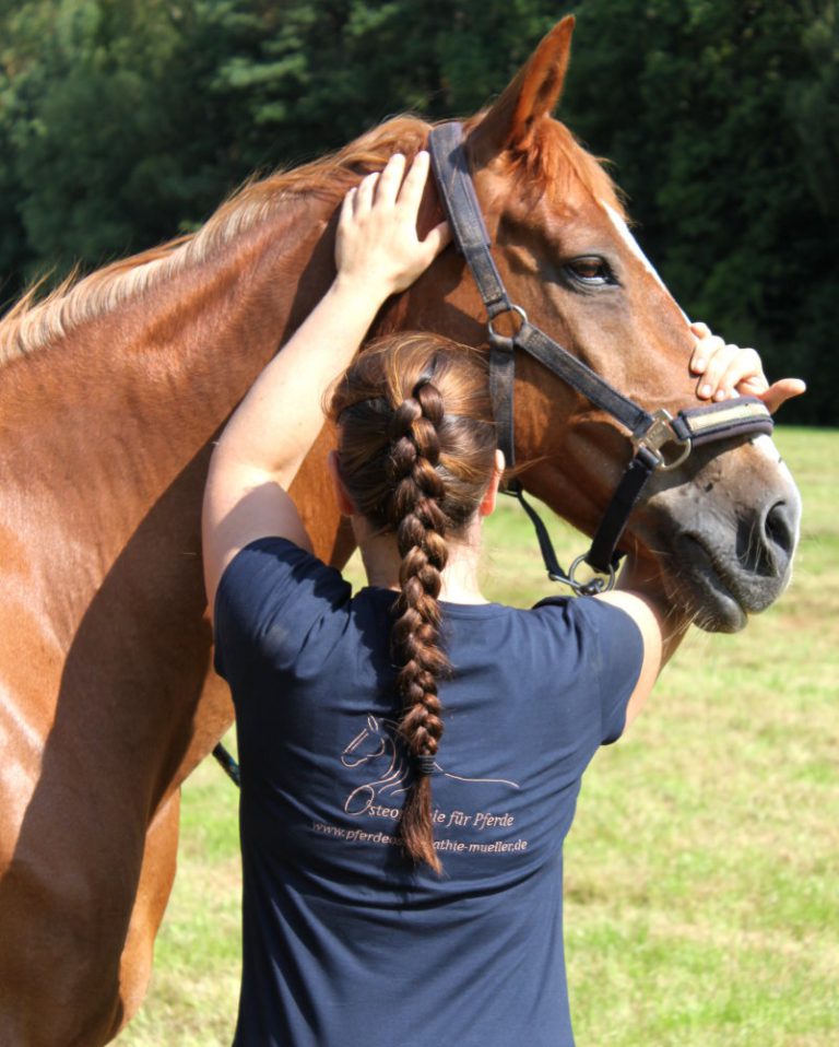 Osteopathische Behandlung am Kopf