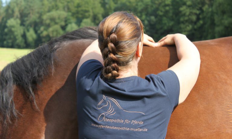 Osteopathische Behandlung am Rücken